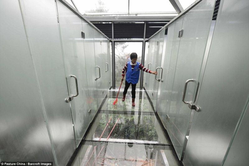 Separating walls between toilets made with frosted one-way glass 