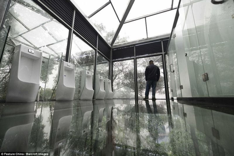 Transparent walls lets you view natural beauty outside while screw-driving inside 