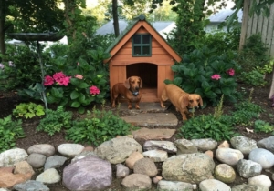 Give your pooch some personal space with a chic doghouse