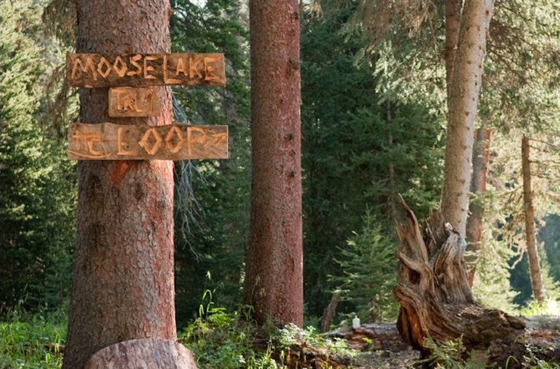 Nestled among forests of Big Sky. Montana 