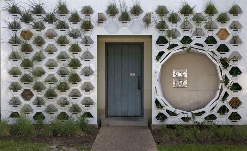  Living wall by The University of Texas at Austin