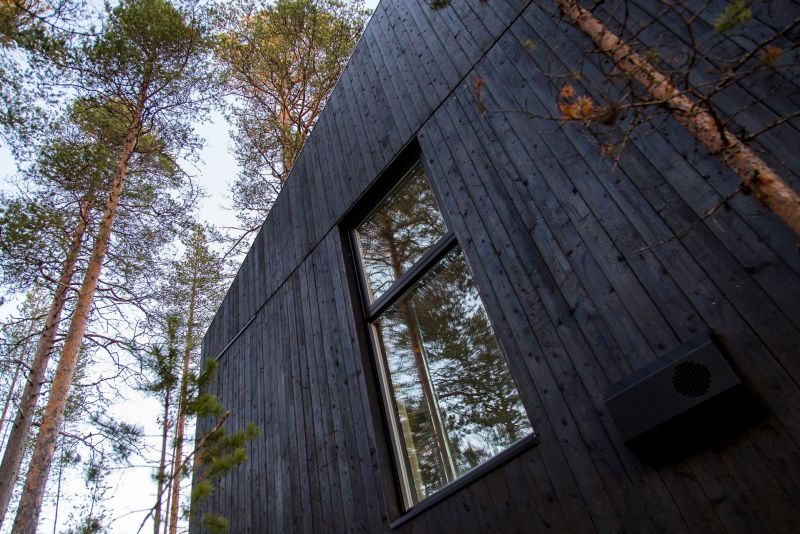 Charred-wood treehouse 