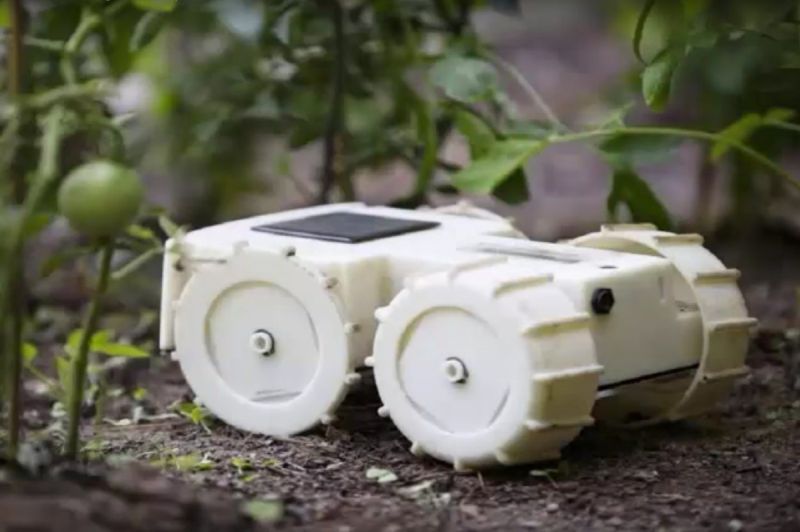 Tertill-solar-powered-gardening-robot