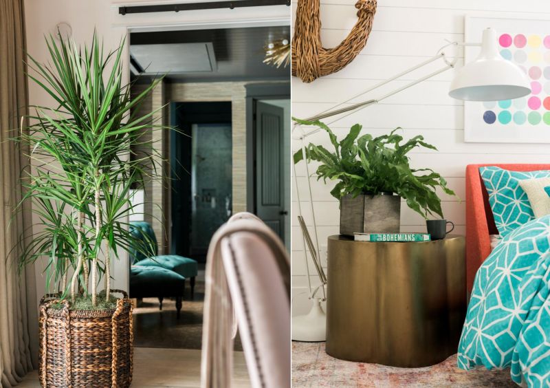 Modern square shaped planters over the sculptural brass table 