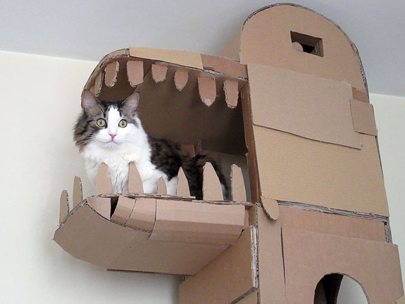 Amazing hideout for the cat 