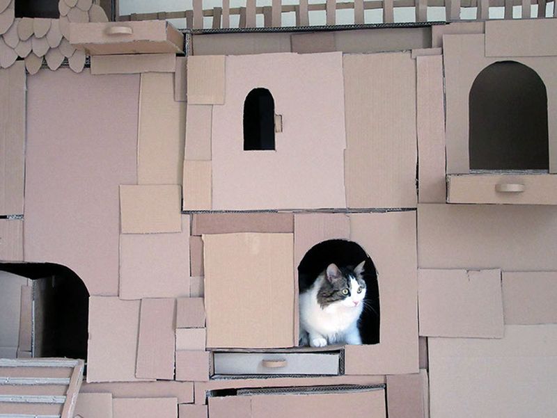 This DIY cathouse has multiple doors and windows 