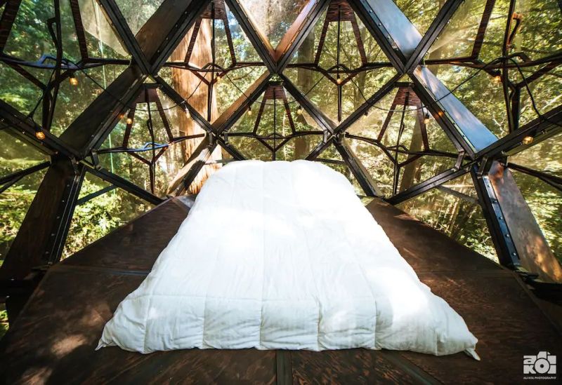 The Pinecone Treehouse in Bonny Doon, California 