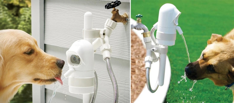 waterdog-automatic-pet-drinking-fountain