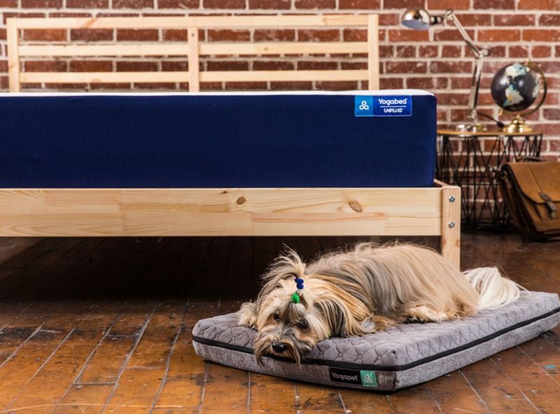 yogabed-yogapet-dog-mattress