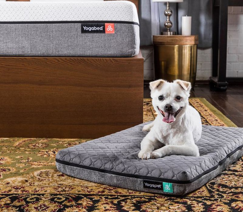 yogabed-yogapet-dog-mattress