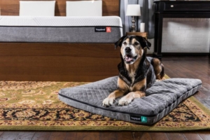 yogabed-yogapet-dog-mattress