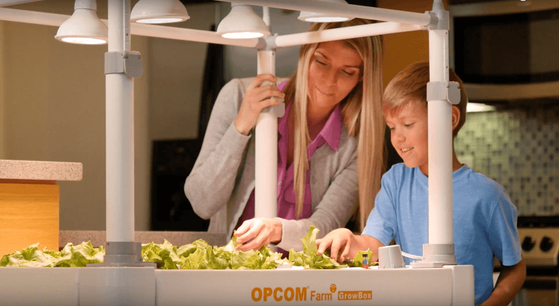 OPCOMLink USA's indoor hydroponic gardening systems at CES 2017