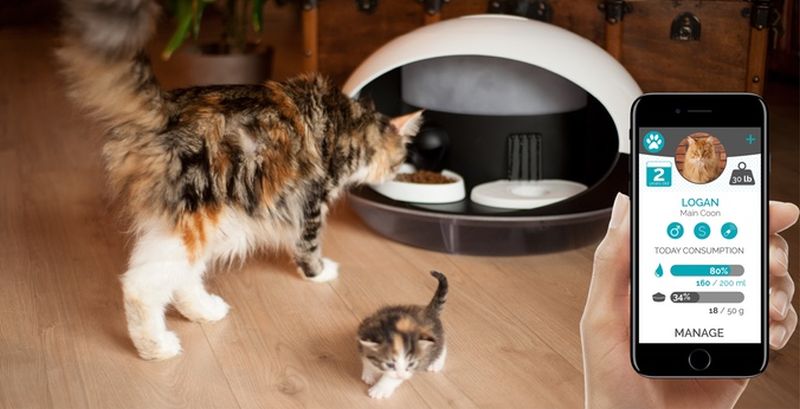 Catspad smart cat feeder identifies your cat to deliver food