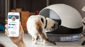 Catspad smart cat feeder identifies your cat to deliver food