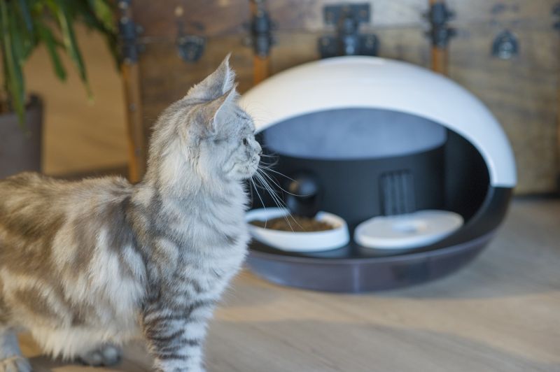 Catspad smart cat feeder identifies your cat to deliver food