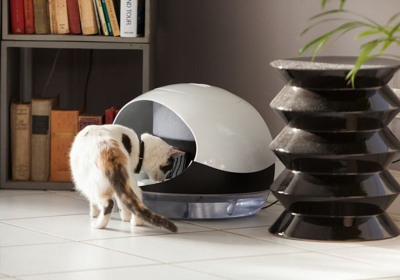 Catspad smart cat feeder identifies your cat to deliver food