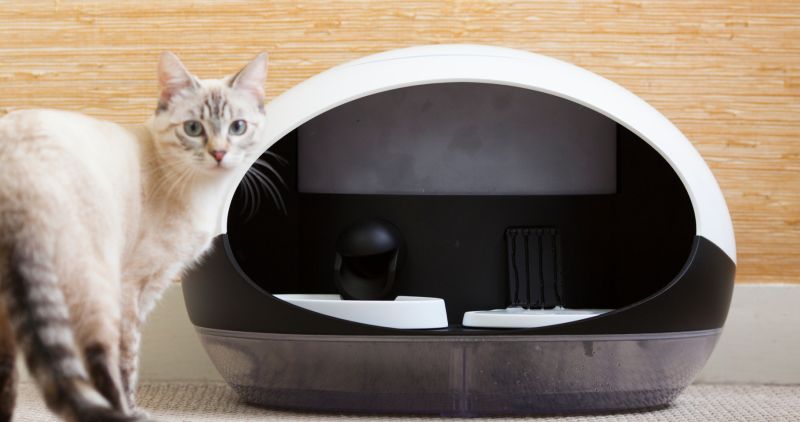 Catspad smart cat feeder identifies your cat to deliver food