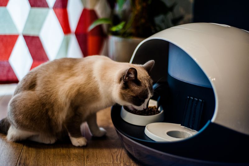 Catspad smart cat feeder identifies your cat to deliver food