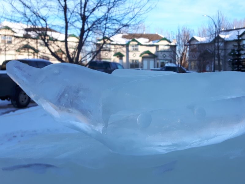 Red deer dad builds ultimate ice castle in front yard for his little kids 