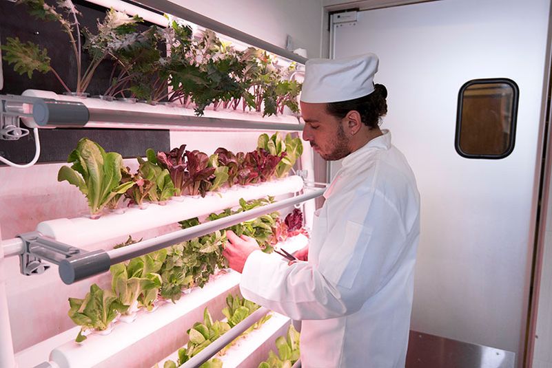 OPCOMLink USA's indoor hydroponic gardening systems at CES 2017