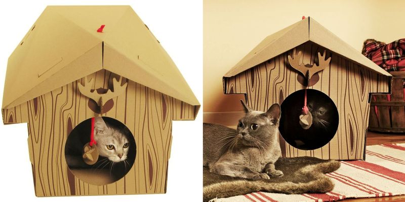 cat cabin