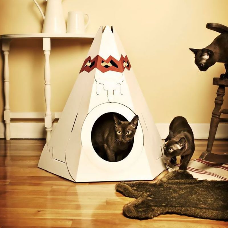 cat teepee