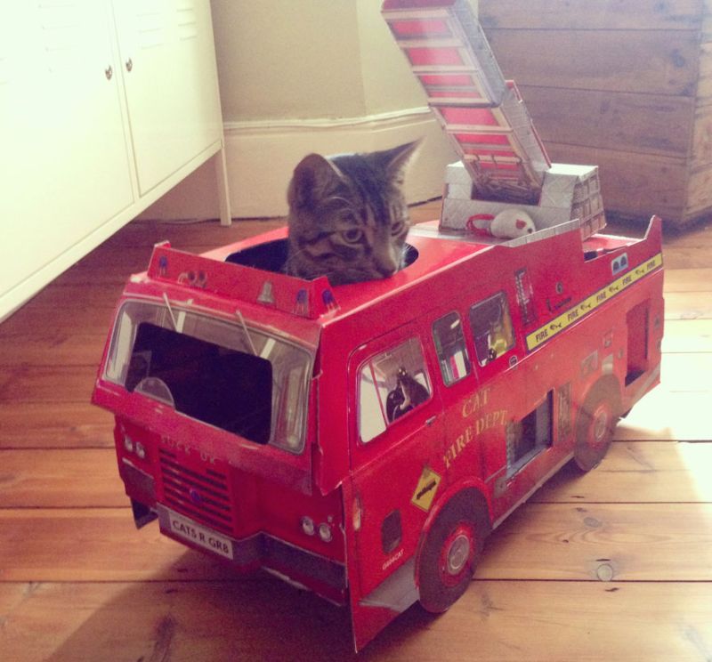 fire engine cat playhouse