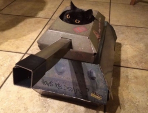 tank cat playhouse