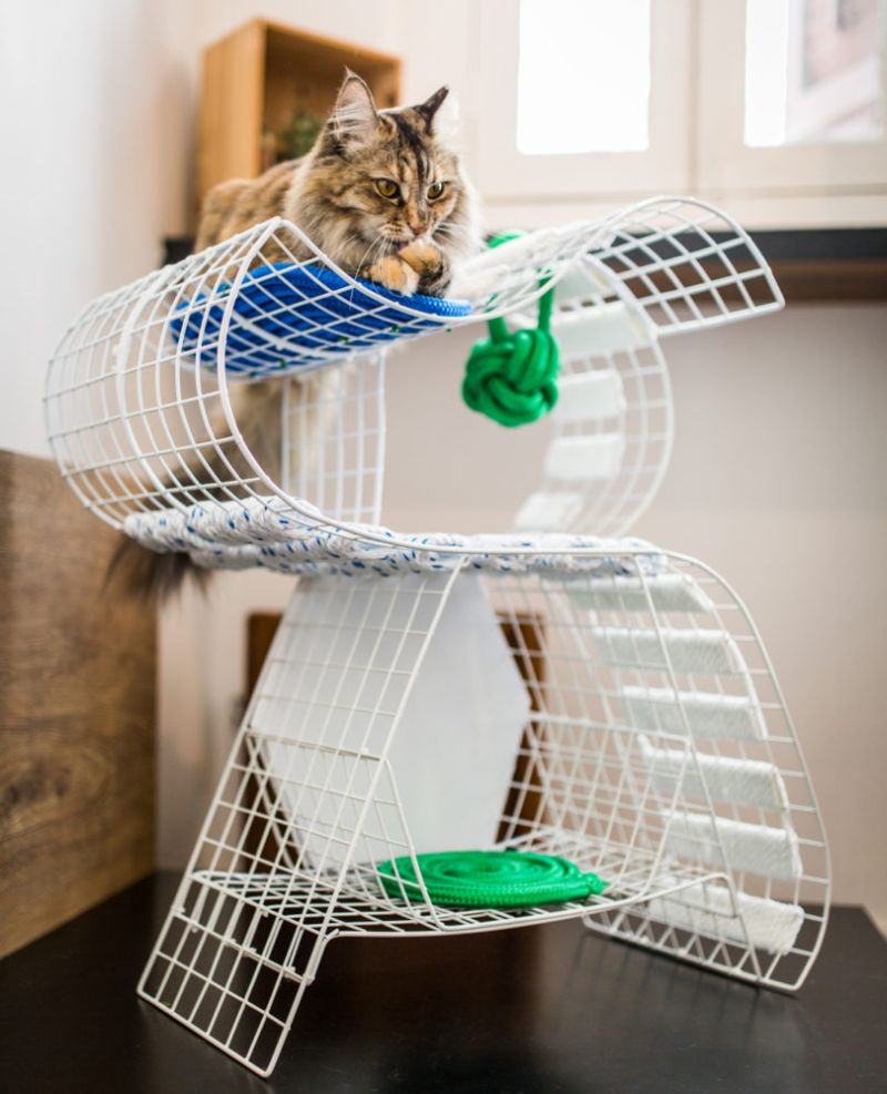 9lives is first ever cat furniture design show at Design Week Singapore 