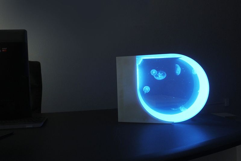 Jellytank: An illuminating desktop aquarium by Blake & Brock Gratton 