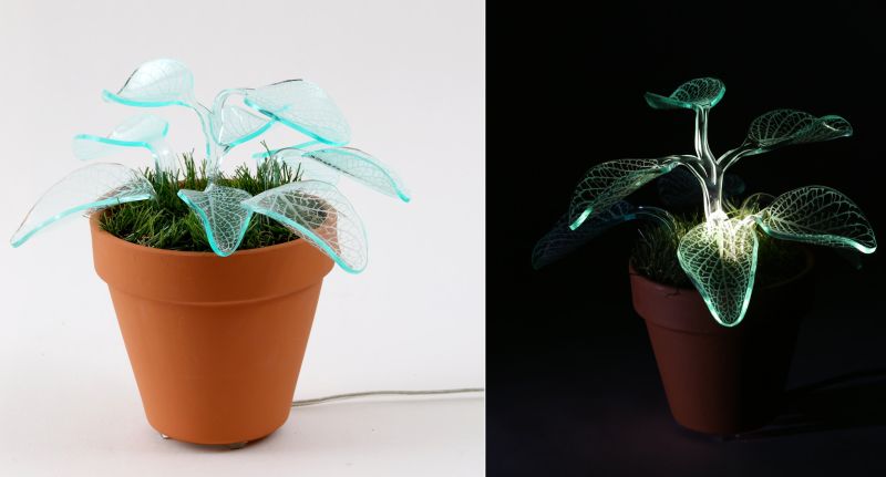 Plant lamps by Mariana Folberg use LED lights to glow in dark