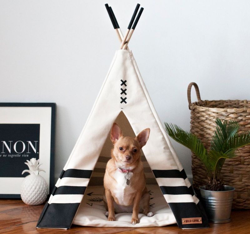 Modern pet teepee by Wild and Loyal is a unique gift for pet lovers