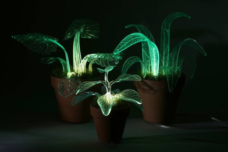 Acrylic Plant Lamps by Mariana Folberg Glow in the Dark