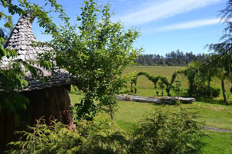 Real-life hobbit house built out of a single tree trunk 