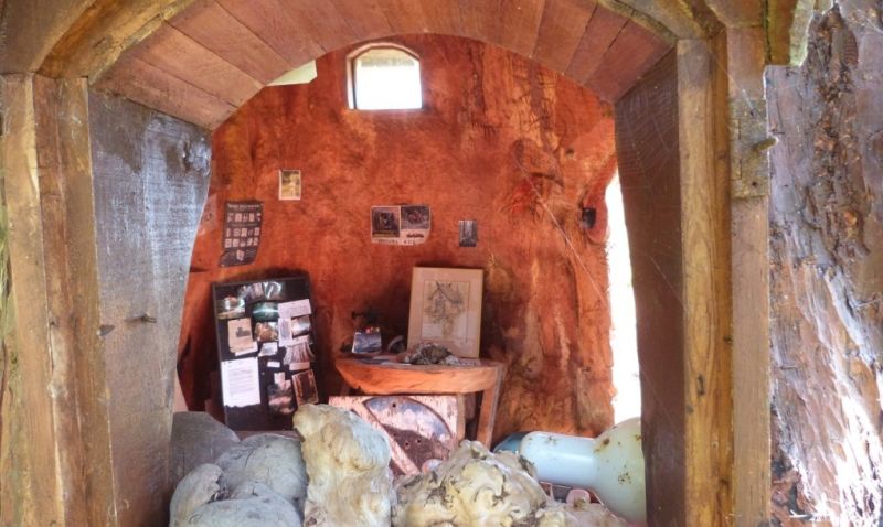 Real-life hobbit house built out of a single tree trunk 