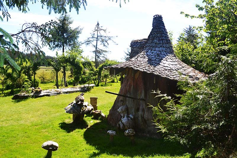 Real-life hobbit house built out of a single tree trunk 