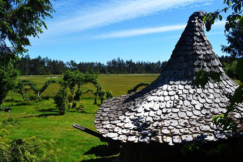 Real-life hobbit house built out of a single tree trunk 