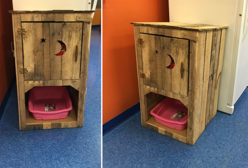 outhouse litter box