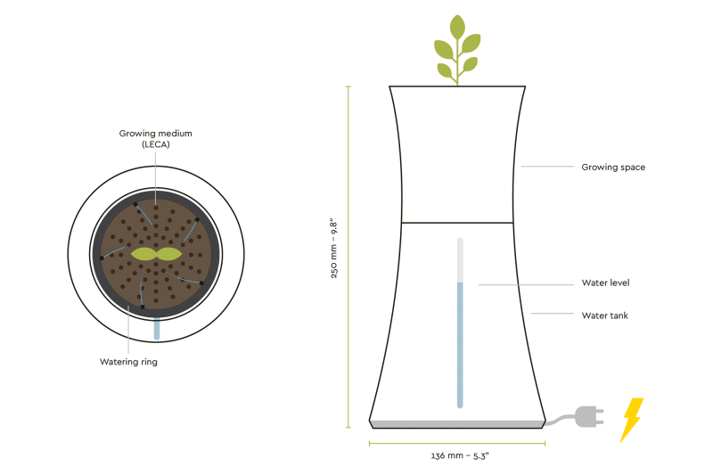 Botanium hydroponic pot saves you the hassle of watering plants for months