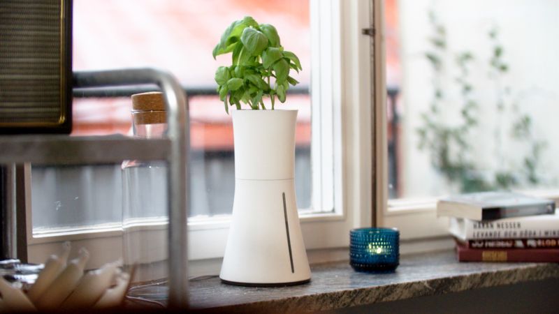 Botanium hydroponic pot saves you the hassle of watering plants for months