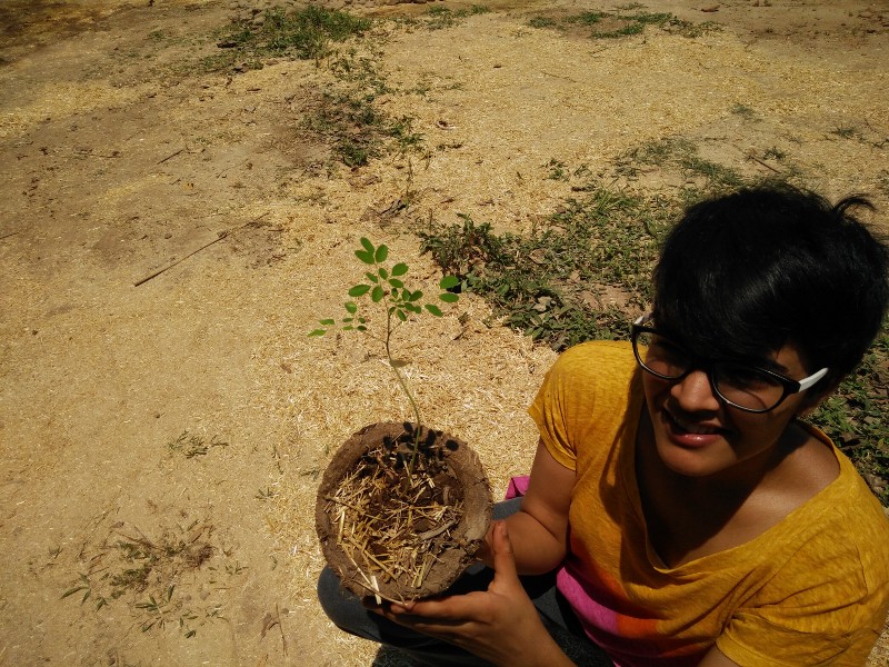 Cow dung pot by Peepal Farm