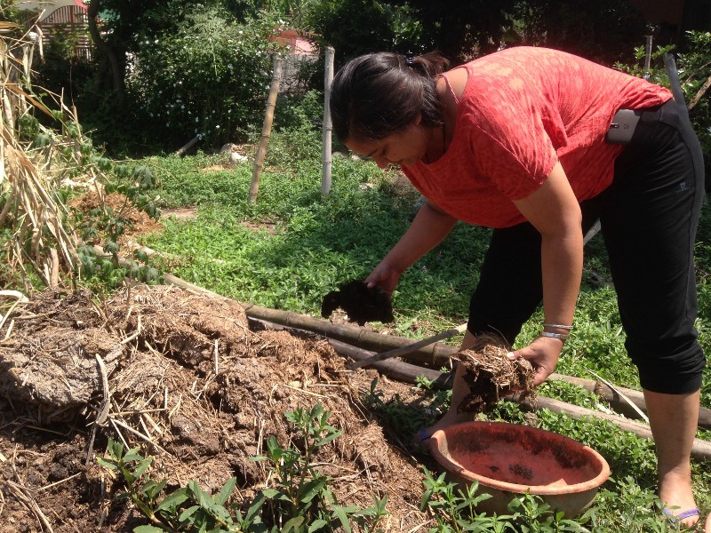 Cow dung pot by Peepal Farm