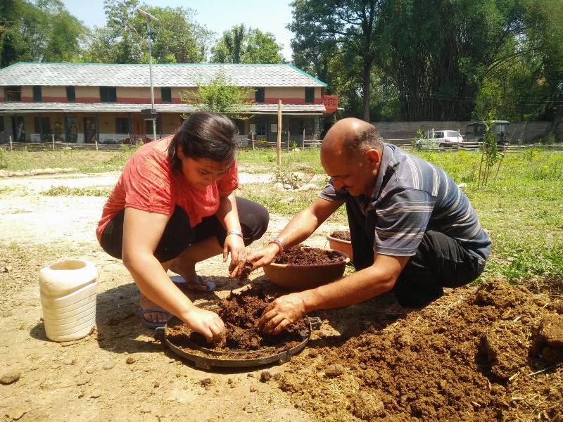 Cow dung pot by Peepal Farm