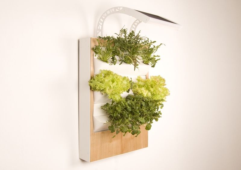 Herbert, a smart hydroponic wall garden grows food all year round 