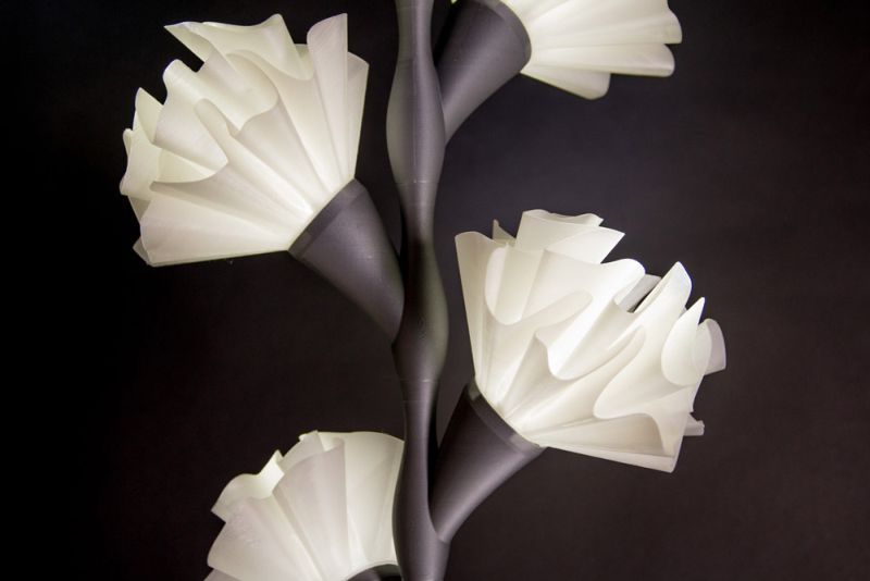 Paula Szarejko creates 3D printed flower lamp 