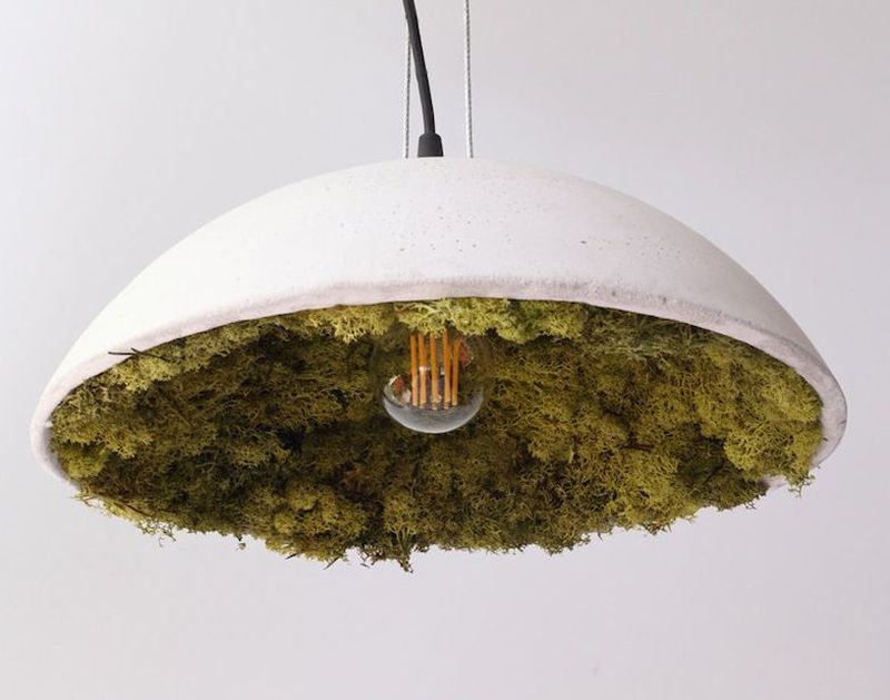 Stylish-Clock-and-Pendant-Covered-with-Icelandic-Moss