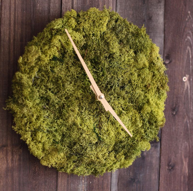 Stylish-Clock-and-Pendant-Covered-with-Icelandic-Moss