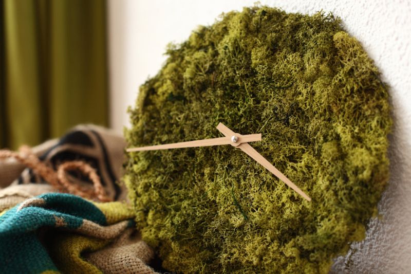 Stylish-Clock-and-Pendant-Covered-with-Icelandic-Moss