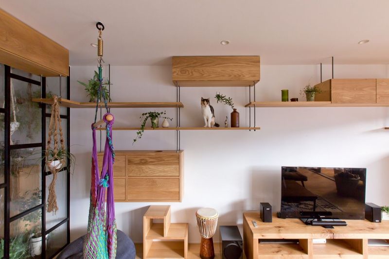 cat-friendly apartment in japan