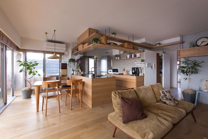 cat-friendly apartment in japan